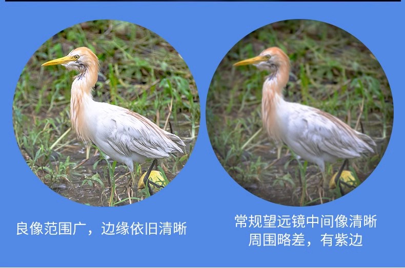 逐月20-6080ED图10.jpg