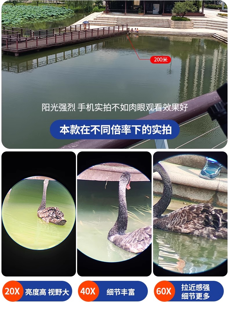 逐月20-6080ED图17.jpg