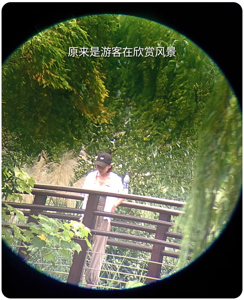 逐月20-6080ED图26.jpg