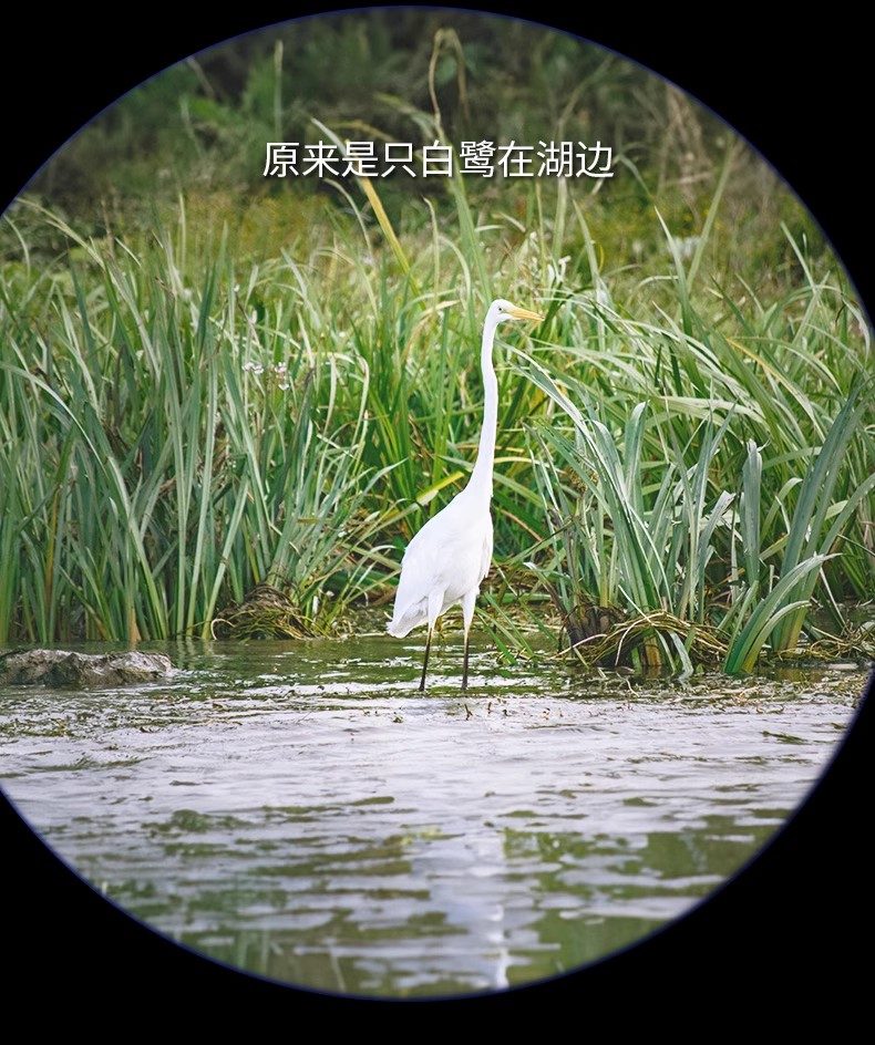 逐月20-6080ED图28.jpg