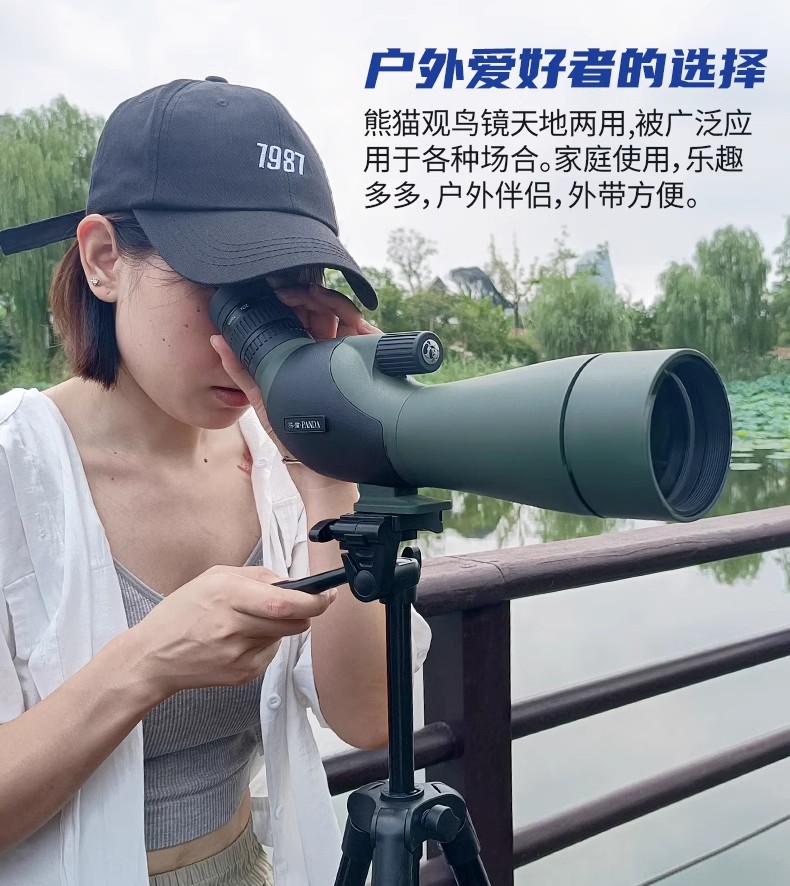 逐月20-6080ED图33.jpg